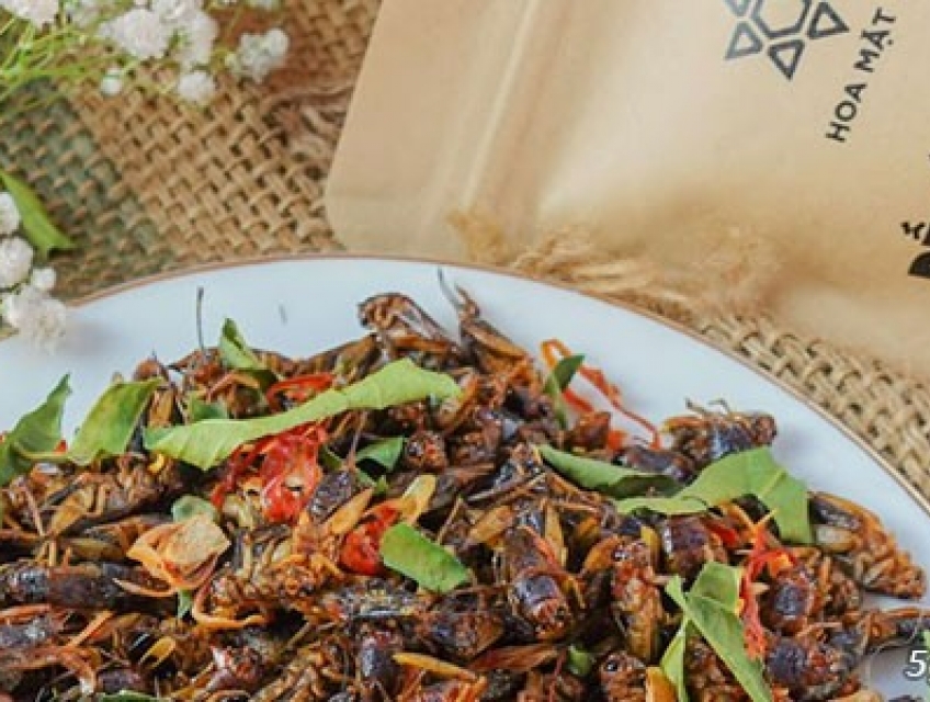 DẾ ĐẶC SẢN TÂY NGUYÊN