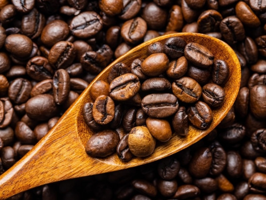 TỔNG QUAN VỀ CAFE HẠT ROBUSTA – HƯƠNG VỊ CÀ PHÊ ĐẶC TRƯNG CỦA VIỆT NAM