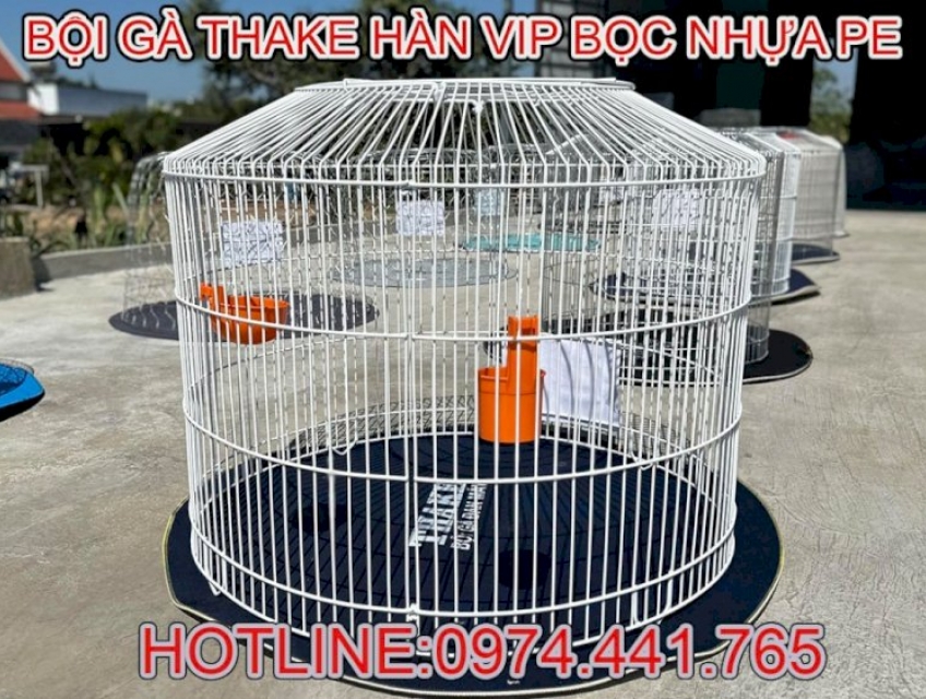 Bội Gà Thake Hàn Vip Bọc Nhựa PE