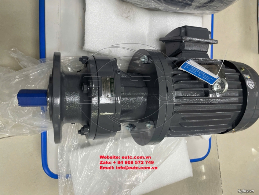 Động cơ điện Teco