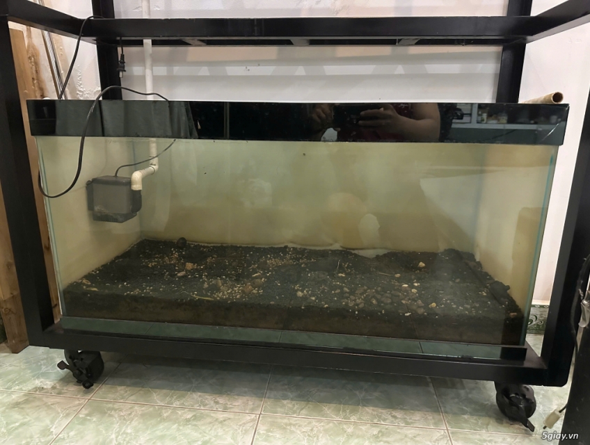 Cần bán hồ cá 1m2-40-x50 Giá 500.000