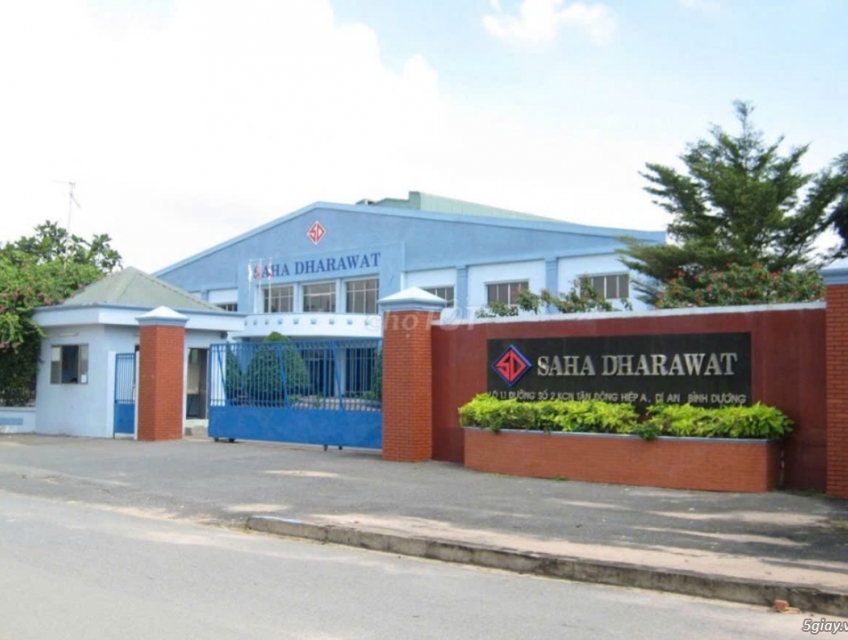 Tuyển 02 nam thợ phụ in offset & 5 LĐPT làm tại Dĩ An