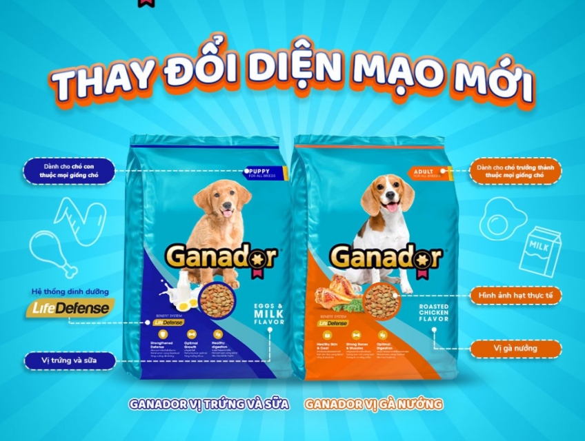 [10KG Bao Xá] Hạt Ganador Chó Mọi Lứa Tuổi | Pet's Warehouse