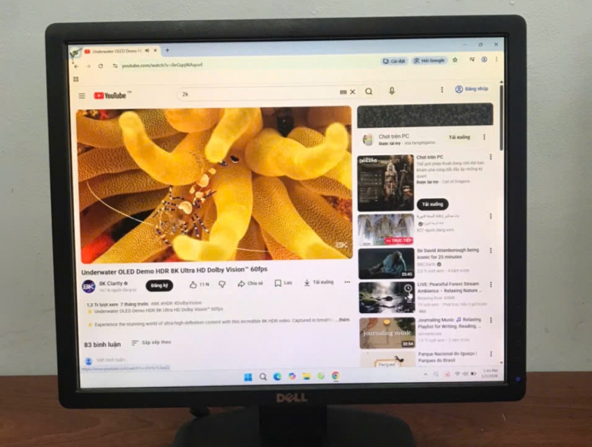 MÀN HÌNH VUÔNG DELL 19 INCH