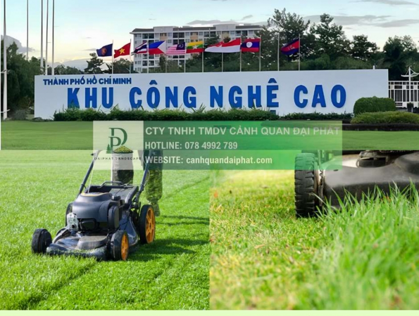Dịch vụ cắt cỏ & vệ sinh thảm cỏ khu công nghệ cao TPHCM