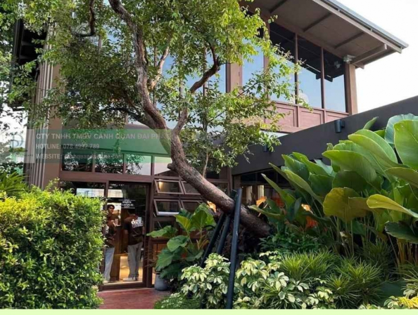 Chăm Sóc Cảnh Quan Chung Cư Cao Cấp Tại TP.HCM & Đồng Nai