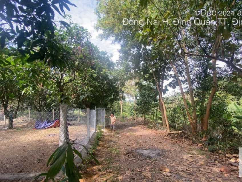 Chính chủ cần bán 2000 m2 đất định quán đồng nai