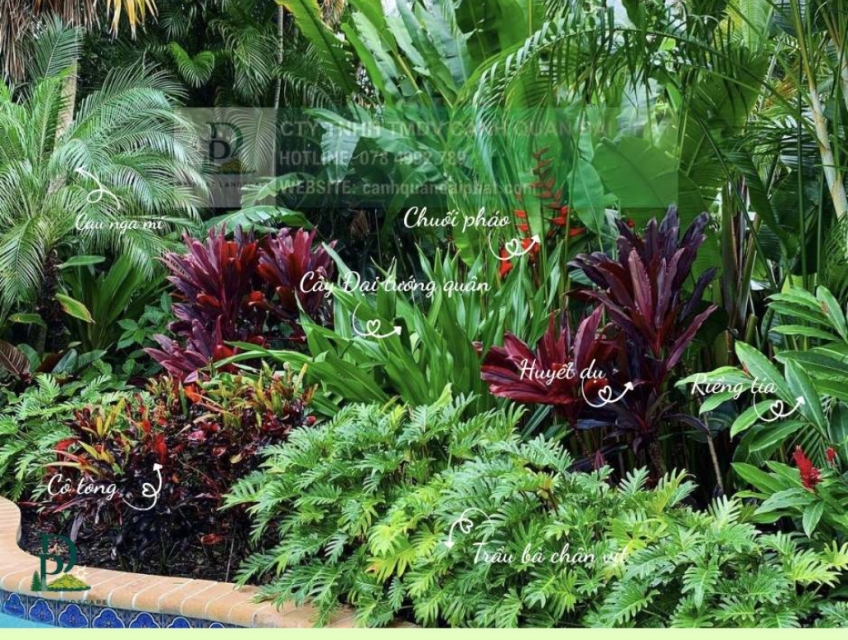 Thiết kế thi công cảnh quan sân vườn mới nhất 2026