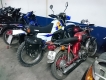 Cào cào Yamaha DT 175