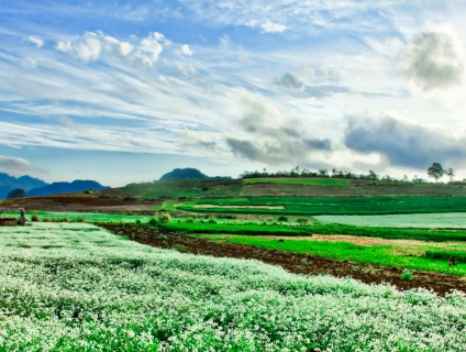 Danh sách địa điểm du lịch miền bắc