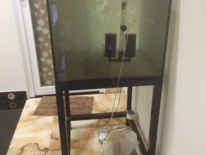 Thuận An, Bình Dương: Bán combo hồ thuỷ sinh