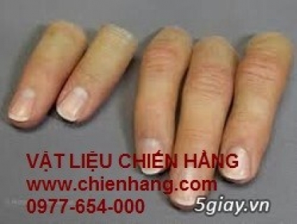 SILICONE LỎNG AB LÀM MÔ HÌNH BỘ PHẬN CƠ THỂ NGƯỜI