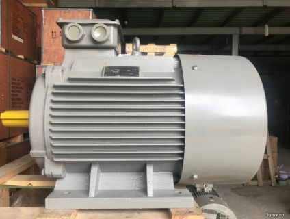 Động cơ motor chất lượng vượt trội - giá thành hợp lý