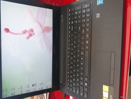 cần thanh lí giá hạt dẻ cho anh chị em