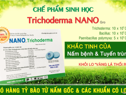 Viên nén Nano – GroTM - Chế phẩm sinh học