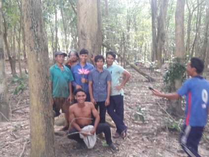 Cây giáng hương công trình chất lượng