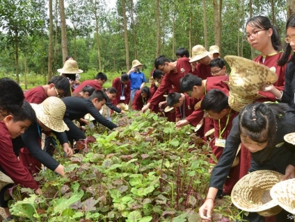 Chương trình trải nghiệm một ngày làm nông dân cho bé