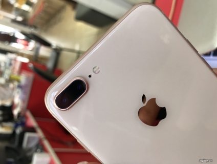Về hàng iPhone 8Plus 64 Gold - Máy ZIN Chuẩn - Đẹp - Giá SOCK