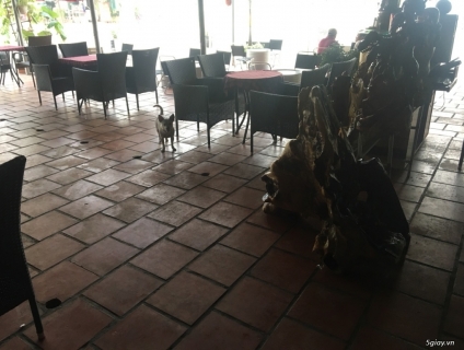 (bình dương)Cần Tuyển Nữ Nhân Viên Phục Vụ Bao Ăn Ở