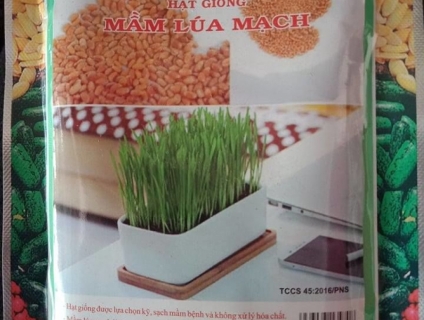 Các loại Hạt giống cây trồng Chất lượng, Giá rẻ, Tỉ lệ nảy mầm cao