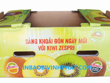 Báo giá thùng carton 3 lớp, 5 lớp, 7 lớp in offset
