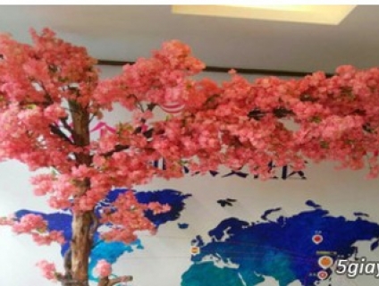 Cây anh đào giả đồng nai, cây đào giả bình dương, cây hoa giả biên hòa