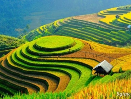 Du Lịch Miền Bắc - Sapa - Fansipan 4 Ngày ( Xe Lửa)