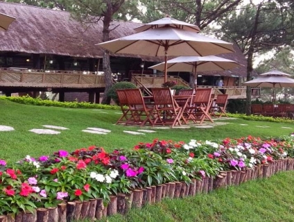 Kinh Nghiệm Du Lịch Đà Lạt Nên Đi Đâu, Ăn Gì Ngon Bổ Rẻ