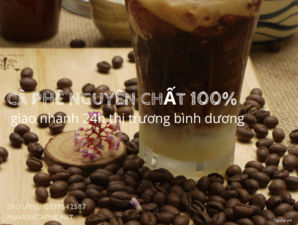 bảng giá cà phê mới nhất quý 1/2021 tại thị trường Bình Dương