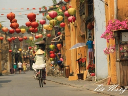 Tour Sơn Trà Ngũ Hành Sơn Hội An