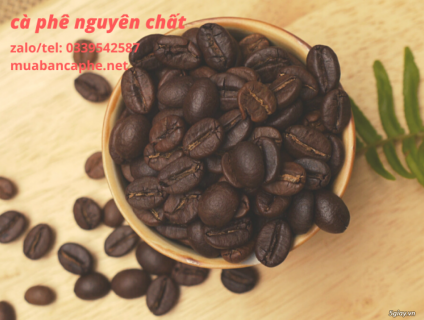 Cung cấp cà phê rang xay nguyên chất  tại Dĩ An Bình Dương