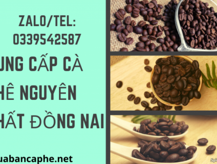 Cung cấp cà phê nguyên chất cho các đại lý giá sỉ ổn định tại Biên Hòa