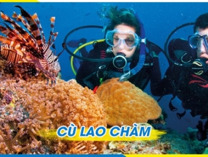 Tour Lặn biển Hấp dẫn Cù lao Chàm Hội An