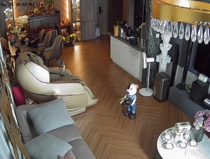 lắp đặt camera quan sát tận nơi