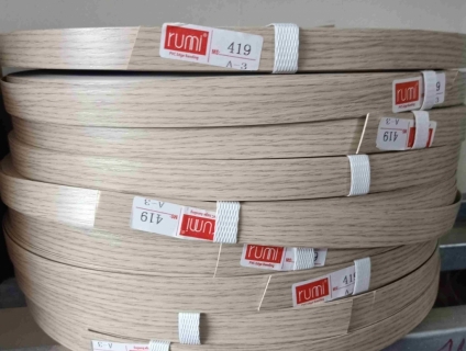 Nẹp chỉ nhựa Pvc 419