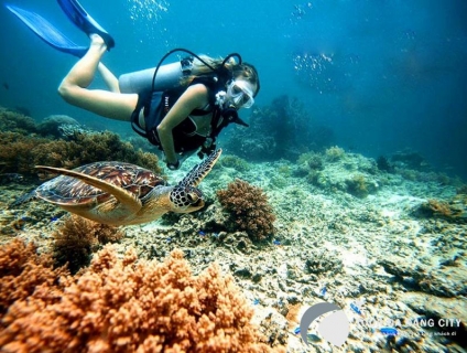 Đi Tour lặn biển Cù Lao Chàm - Culaocham Tourist