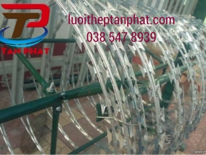 Dây kẽm gai hồ chí minh