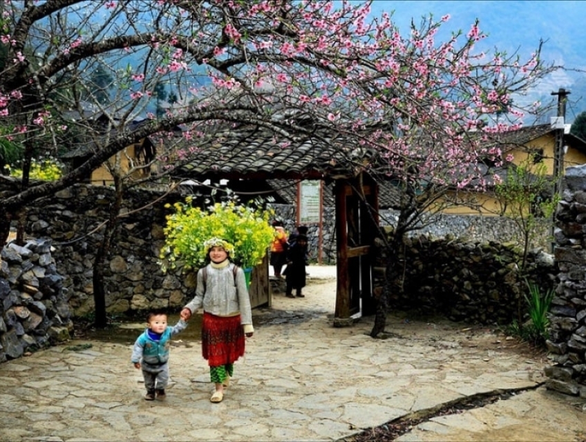 Hà Giang Mùa Xuân