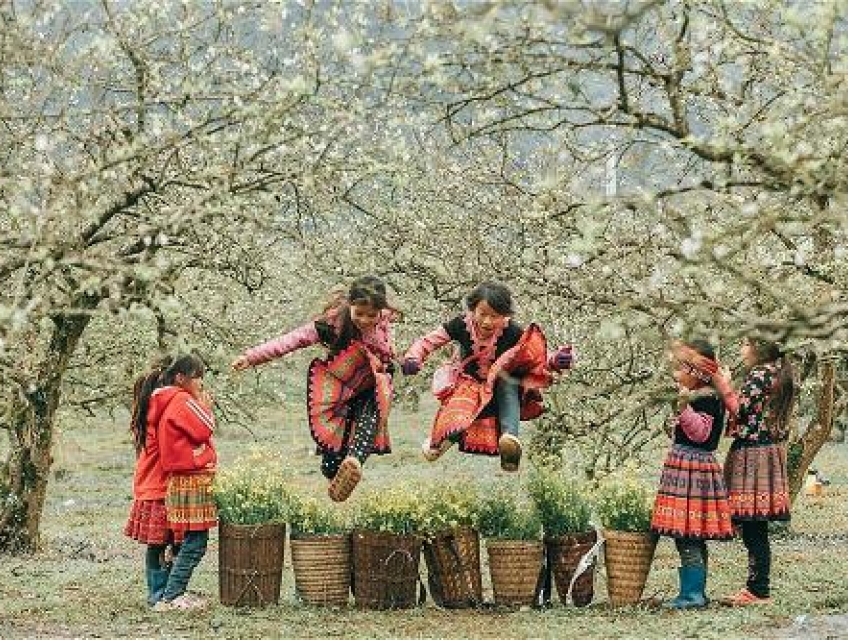 Mộc Châu Du Xuân Cùng Nhất Việt Travel