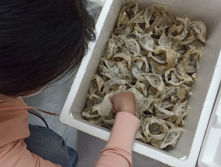 Yến Sào Nguyên Chất, Hội An, Quảng Nam