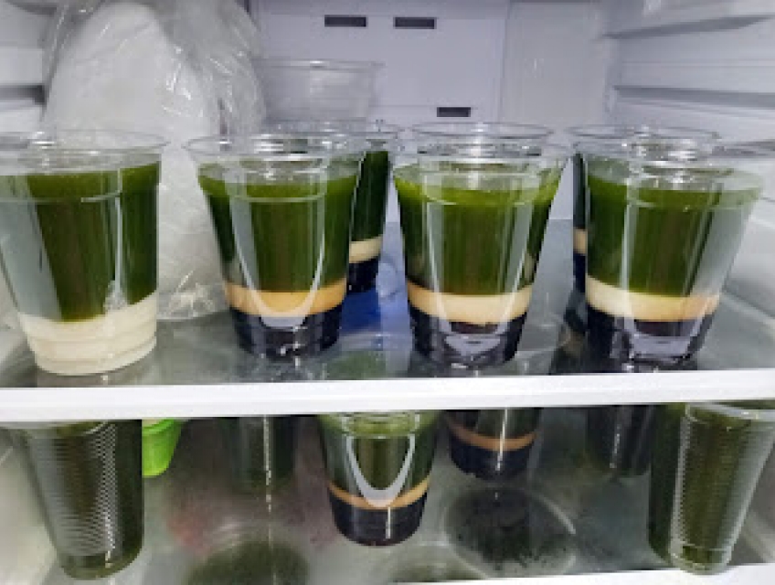 Thạch sương sâm lông