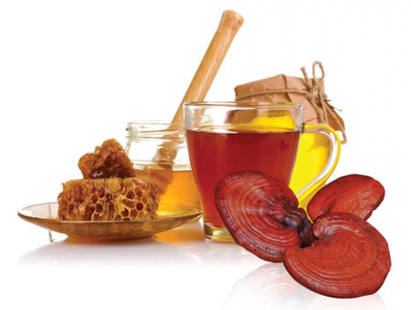 Nấm linh chi ngâm mật ong