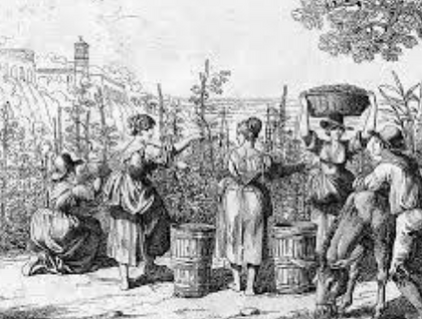 Rượu vang ý nhập khẩu chính hãng tại Hà Nội