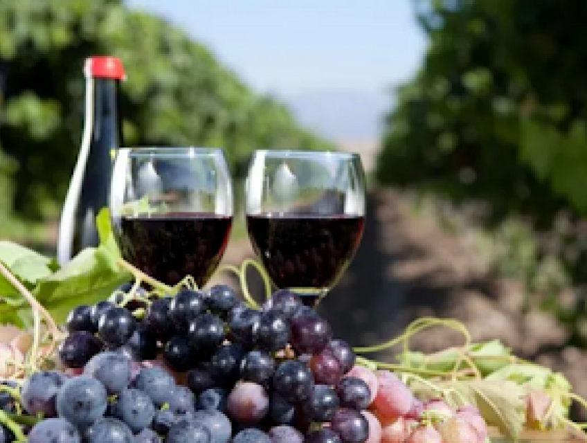 Rượu vang đỏ ý - Thức uống có cồn được ưu chuộng nhất thế giới