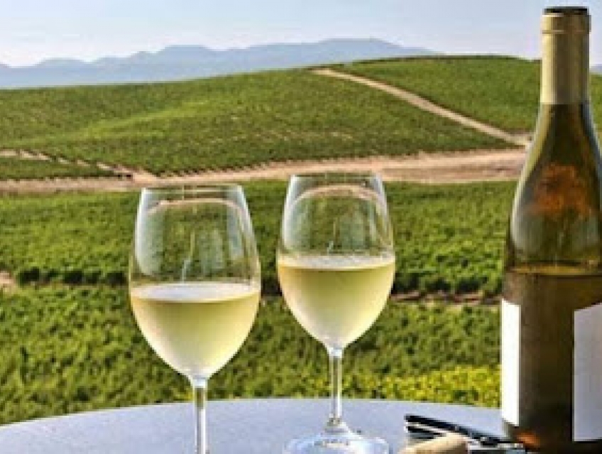 Tìm hiểu về rượu vang trắng? Liệu có ngon như rượu vang đỏ?