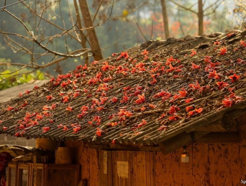 Nhận đăng ký tour ghép lẻ, tour đoàn tháng 2,3,4