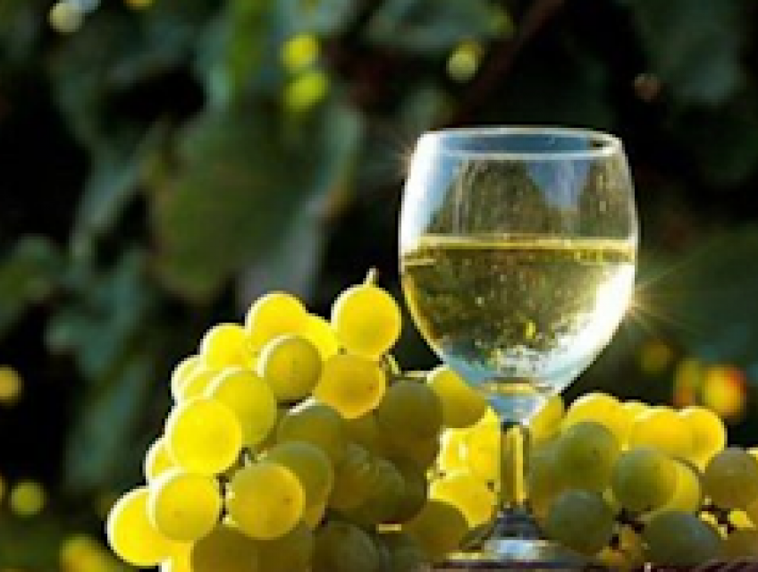 Bật mí về loại rượu vang ngọt cực cuốn hút khi thưởng thức