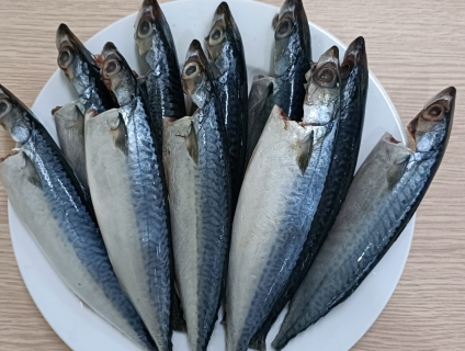 Cá nục bông làm sạch cấp đông cung cấp quán cơm cao cấp