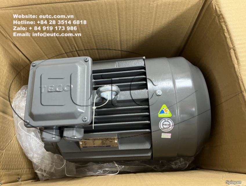 Mô tơ chân đế Teco