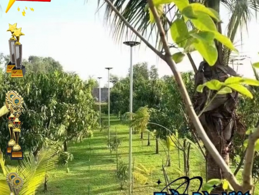 Đèn năng lượng mặt trời